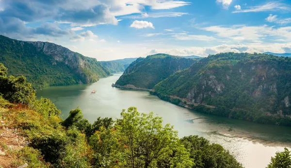 Kad se voli, voli se do kosti: Zašto stranci u Srbiji ostaju bez teksta